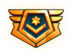 Space Colonel III badge